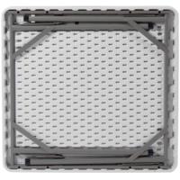 AJUNION Table de pique-nique pliante en plastique pour le camping en plein air