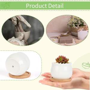 Pot de fleurs en céramique blanc moderne de 2,5 pouces avec plateau en bambou pour utilisation au sol, lot de 12 - plantes non incluses - Product Image 5