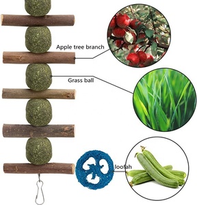 Jouets <span class=keywords><strong>pour</strong></span> lapins, jouets à mâcher <span class=keywords><strong>pour</strong></span> lapins <span class=keywords><strong>pour</strong></span> le grincement des dents, bâtonnets de pomme <span class=keywords><strong>en</strong></span> <span class=keywords><strong>bois</strong></span> naturel biologique à 100% et boules de foin de Timothy - Product Image 3