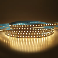 Bande LED SMD 2835 haute luminosité 12V 24V DC, 3000K 4000K 6000K, 120 LED, PCB en cuivre flexible, télécommande, pour aménagement paysager, fabrication OEM