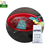 Poudre d'Éther de Cellulose HPMC de Marque TUJIN, Pureté 99%, Agent Auxiliaire Chimique pour l'Épaississement des Détergents