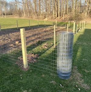 รั้วป้องกันสวนผักและรั้วป้องกันต้นไม้โลหะ, รั้วลวดตาข่ายชุบสังกะสีมาตรฐานตลาดประเทศไทย - Product Image 3