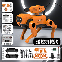 Niedriger Preis Interaktive DIY elektrische RC Smart Robot Hundes pielzeug Intelligente zusammen gebaute Lernspiel zeug für Kinder zum Verkauf