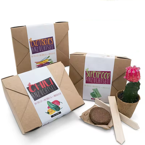 Biodegradable Flowerpot Kit Indoor Garden Bonsai <strong>Tree</strong> Planting Kit Creative Gift <strong>Box</strong> <strong>Planter</strong> - Product Image 5