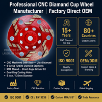 Disque de meulage diamanté CNC TING CHI à 6 segments, 125 mm (5 po), filetage M14, pour béton, pierre, maçonnerie, meuleuse d'angle