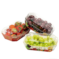 Barquettes d'emballage pour fruits étanches avec couvercle, personnalisées, solides et de qualité alimentaire, en forme de bateau, en carton et en aluminium