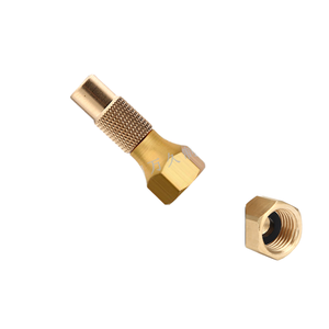 G1/4 American Quick Coupling Tire Gonfleur Buse pour Compresseur d'air de voiture Outils pneumatiques Accessoires Pièces Vis OEM - Product Image 1