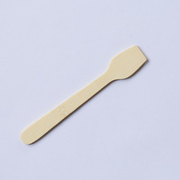 Vaisselle jetable écologique Logo personnalisé Couverts en bambou en bois Petites cuillères à dessert pour glace