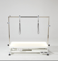 Table de toilettage pour animaux lumineuse YM-D001LP en acier inoxydable, à faible bruit, sécurisée, avec prise de table intégrée et éclairage tactile