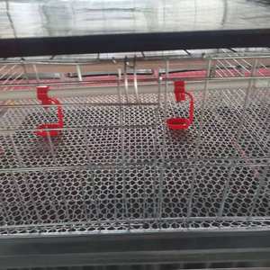 Jaula <span class=keywords><strong>para</strong></span> Cría <span class=keywords><strong>de</strong></span> Aves <span class=keywords><strong>de</strong></span> Corral, Jaula <span class=keywords><strong>para</strong></span> Cría <span class=keywords><strong>de</strong></span> Pollitos, Jaula <span class=keywords><strong>para</strong></span> Cría <span class=keywords><strong>de</strong></span> Gallinas Ponedoras, Jaula <span class=keywords><strong>para</strong></span> Cría <span class=keywords><strong>de</strong></span> Pollitos - Product Image 1