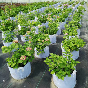 ถุงปลูก1/<span class=keywords><strong>3</strong></span>/5/7/10/15/20แกลลอนพร้อมที่จับภาชนะควบคุมรากสำหรับทำสวนมันฝรั่งและต้นไม้ - Product Image 5