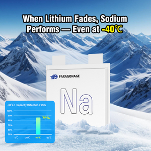 Paragonage NFPP 100C 3.0V 5.5Ah-20Ah 파우치 폴리머 나트륨 이온 배터리 셀 시작 배터리 - Product Image 6