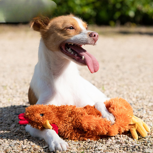 Fabrika doğrudan toptan Pet peluş oyuncak evcil köpek için simüle tavuk peluş oyuncak - Product Image 2