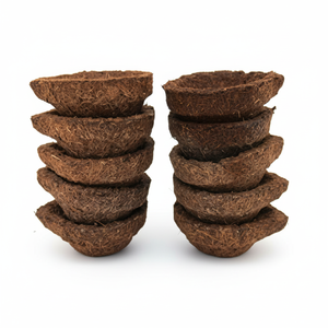 Nuevo Producto: Diya de Panchagavya Vilakku, Hecho con Estiércol de Vaca. Diya 100% de Estiércol de Vaca y Producto Hermoso en Bhumi Gold Organic - Product Image 1