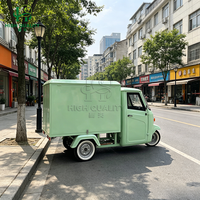 Camioneta de Comida Piaggio Ape de Alta Calidad, Camioneta de Café, Prosecco Owners, Tuk-tuk