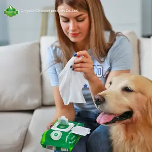 Private Label Super soft Pet Care non tessuto antibatterico cane gatto salviette Pet toelettatura per animali domestici orecchio