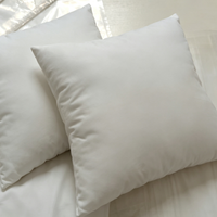 Coussin décoratif 100% polyester, insert 18x18, lot de 2, housse en polyester douce et respirante, pour canapé, lit, maison, hôtel
