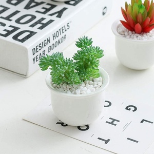 Support de plantes en <span class=keywords><strong>acier</strong></span> à grande roue, 6 Pots pour plantes succulentes-blanc, ornement moderne en céramique pour jardinière de fleurs en or à l'intérieur - Product Image 4