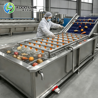 Huishoudelijke groentewasmachine Wasmachine voor fruit en groenten