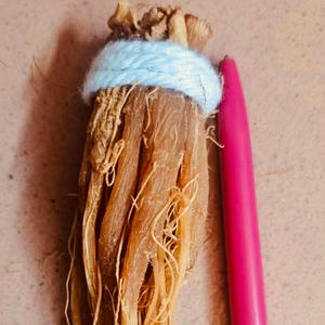 Toptan fiyat doğal kurutulmuş kırmızı <span class=keywords><strong>ginseng</strong></span> lifli kökleri - Product Image 3