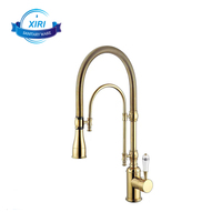 Robinet de cuisine de luxe doré à rotation 360° avec douchette extractible, double tuyau en laiton, multifonctionnel, à ressort, pour eau chaude et froide BG1007