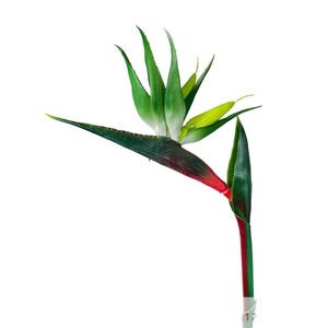 Fleur artificielle d'oiseau de paradis à tige unique en plastique et tissu, pour décoration intérieure, accessoire de mariage, toucher naturel, haute simulation - Product Image 5