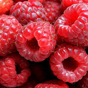 Extrait de framboise professionnel / Poudre de framboise / Cétones de framboise 99% - Product Image 2