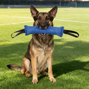Juguete <span class=keywords><strong>de</strong></span> <span class=keywords><strong>Entrenamiento</strong></span> Resistente a Mordidas Kangdarpet, Juguete <span class=keywords><strong>de</strong></span> Arrastre Resistente a Desgarros para Perros Medianos y Grandes |   Entrega Rápida <span class=keywords><strong>de</strong></span> 3 a 5 Días - Product Image 5
