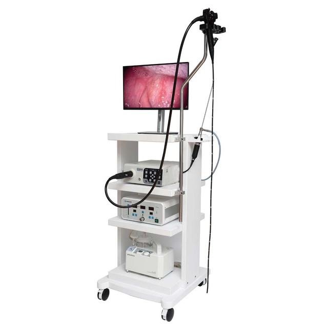 Medical Flexible Endoscopes Suitable for Gastrointestinal Veterinary Use in Animals Surgical Endoscopy Cameras