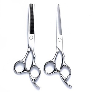 Professional Hair Thinning Shears 6 Inch 4CR Stainless Steel Salon Hairstylist Scissors Set - Product Image 1