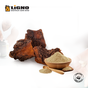 Poudre de Chaga LiGNO CG06, matière première du fabricant malaisien, adaptée aux produits de santé pour animaux de compagnie, mélange actif - Product Image 1