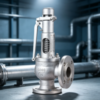 Vanne de sécurité à ressort à bride en acier inoxydable 304 résistante aux hautes températures, contrôle de pression de gaz, prix usine
