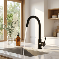 Robinet de cuisine en caoutchouc noir, mitigeur rotatif, robinet Torneira Cozinha, robinet d'eau chaude et froide, poignée unique, robinet de cuisine Goumert
