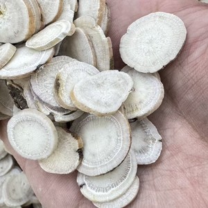 Extracto de Raíz de Peonía Blanca en Polvo (Paeonia lactiflora Pall.) |   Antiespasmódico Natural para la Relajación Muscular y los Calambres - Product Image 3