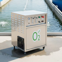 Système de générateur de concentrateur d'oxygène PSA haute pureté 15L 20L, machine à oxygène industrielle