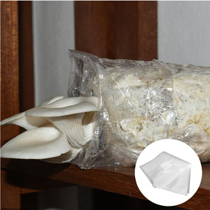 Sac de <span class=keywords><strong>culture</strong></span> en polyéthylène résistant à la déchirure de 0,06 à 0,08 mm pour <span class=keywords><strong>culture</strong></span> de <span class=keywords><strong>champignons</strong></span>, grand format, <span class=keywords><strong>kit</strong></span> de 5 lb, prix direct usine - Product Image 3