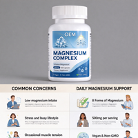 Capsules de Magnésium Complexe en Gros OEM, 60 Comprimés, 500mg, Compléments Alimentaires
