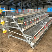 Cage à poules pondeuses à 4 niveaux de type A, capacité 128 poules, cage d'élevage pour poulets pondeurs pour ferme avicole au Kenya à prix compétitif