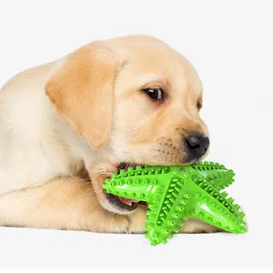 Star Squeaky Sound Generator Reinigung Zähne Biss Widerstand Starfish Interactive Pet Dog Wasser schwimmendes Kau spielzeug