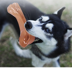 Giocattoli da Masticare per Cani Non Tossici all'Ingrosso, Forma di Osso Rosso in TPR e Nylon, Sapore di Manzo Reale, Giocattoli Durevoli per la Salute Dentale dei Cani - Product Image 3