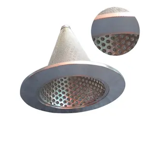 Filtro di protezione della valvola della pompa filtro a rete perforata in acciaio inossidabile sanitario a prova di acqua elemento filtrante a cono su misura