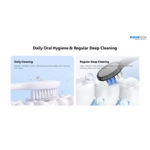 <span class=keywords><strong>Cepillo</strong></span> de Dientes Sónico Recargable T2132, Soporte Magnético de Pared, Batería de Larga Duración de 90 Días, IPX7, Dos Modos de Cepillado, Venta al Por Mayor a Precio Económico - Product Image 4
