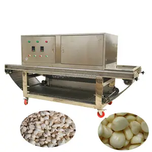 Kleiner Knoblauch-Ketten-Schäler neue automatische Knoblauch-Schälermaschine