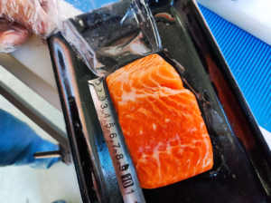 Machine commerciale directe de transformation de samon, fabrication de découpage, tranchage/machine automatique de filet de poisson - Product Image 6