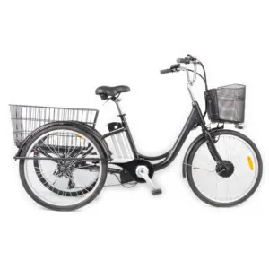 EN15194 के साथ 24 इंच बिजली tricycle/सस्ते बिजली trike/ 3 पहिया इलेक्ट्रिक बाइक में अच्छी बिक्री