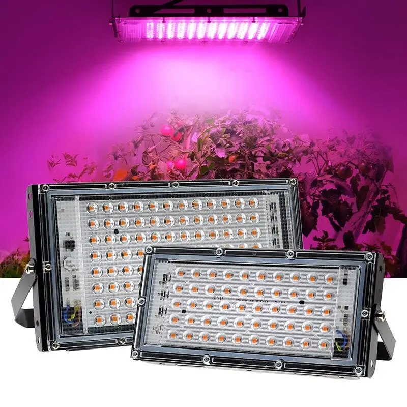 110V 220V Led élèvent la lumière pour légume fleur semis lumière d'inondation Refletor Led 50W 100W 200W lumière de croissance de plante à spectre complet