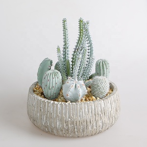 Cao Cấp Trang Trí Nội Thất, Nhân Tạo Cây Xương Rồng, Mọng Nước Bonsai - Product Image 3