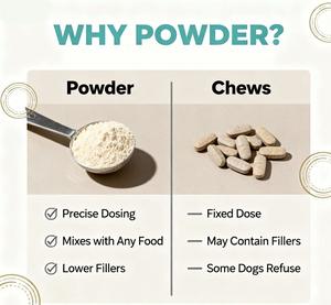 Pet Probiotics <b>for</b> Dogs Custom Brand Logo Digestive Dog Supplement Relieves Flatulence Bloating Balanced Pet Probiotics - Product Image 5