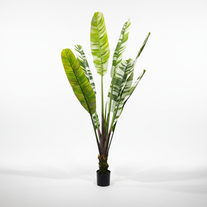 Árbol de Plátano Artificial Jinhua en Maceta de Plástico, Planta Decorativa de Interior de 220 cm de Flower <span class=keywords><strong>World</strong></span> para Decoración de Bodas y Fotografía - Product Image 2