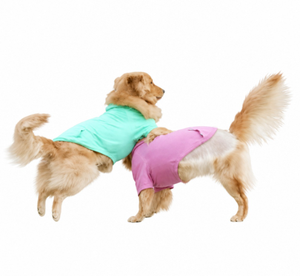 Suéteres para Perros de Diferentes Tallas, Sudadera con Capucha para Dachshund, Ropa para Cachorros, Suéter para Cachorros, Sudadera con Capucha para Perros, Ropa de Invierno para Perros - Product Image 4